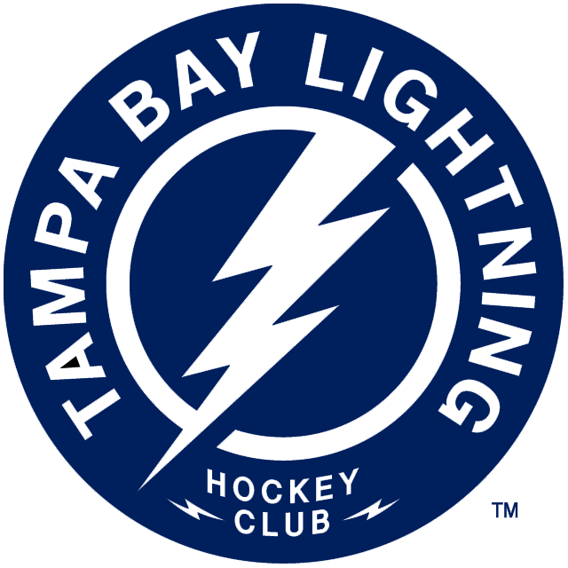 Tampa Bay Lightning 2011-Pres Alternate Logo DIY iron on transfer (heat transfer)